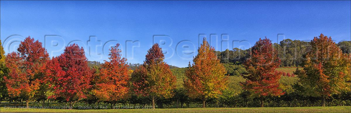 Peter Bellingham Photography Shades of Red - VIC (PBH4 00 13270)